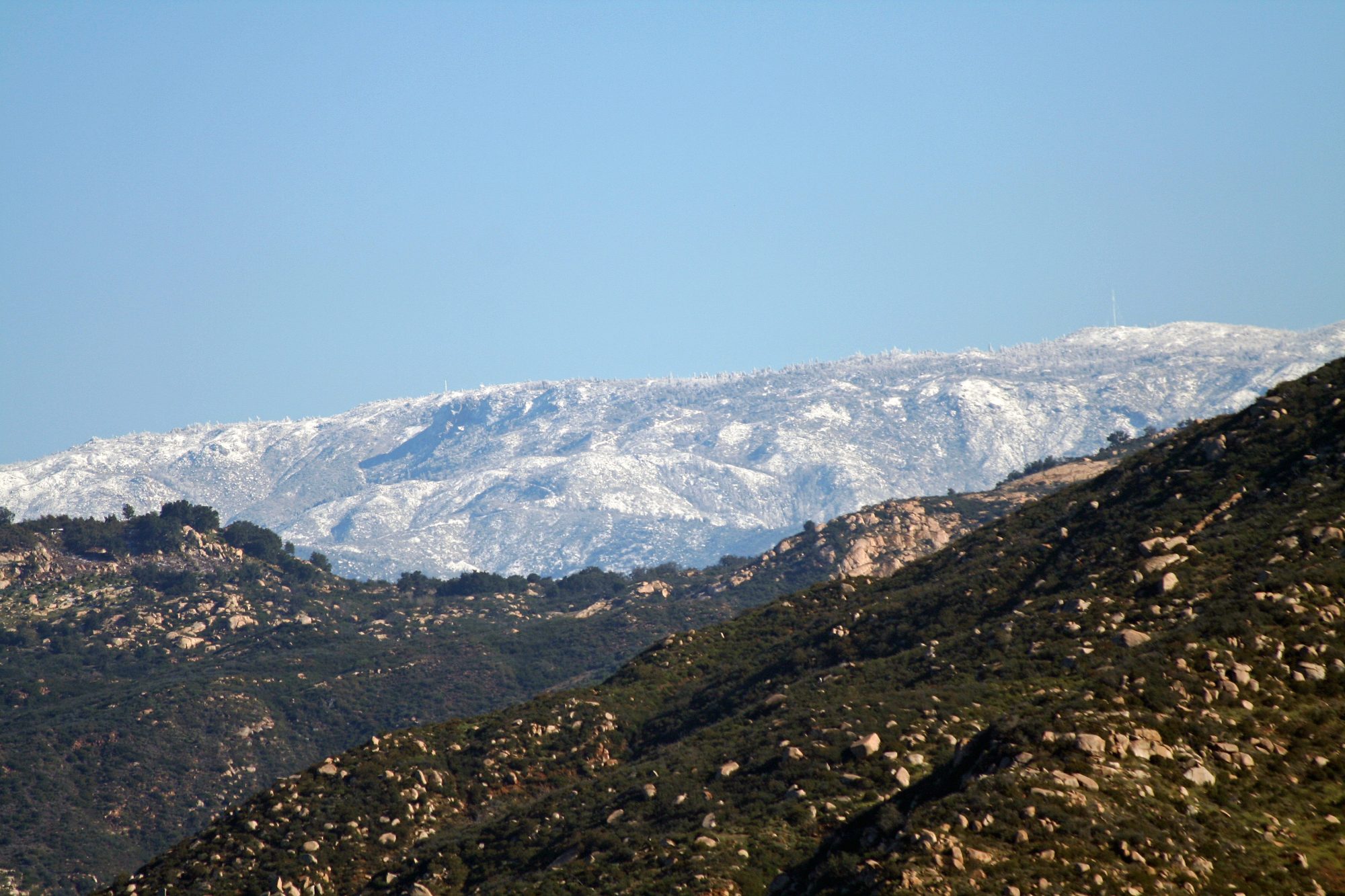 2406 photo 99